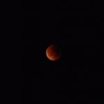 DSCF2239