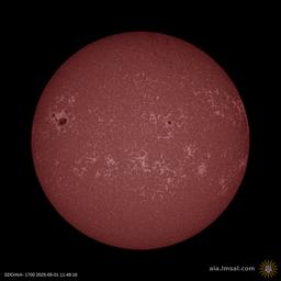 Latest image of the Sun from SDO