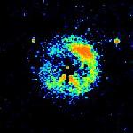 The PN in the optical